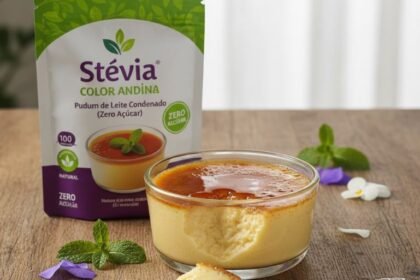Pudim de Leite Condensado (Zero Açúcar) com Stévia Color Andina